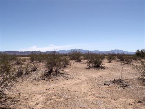 Secure Your Perfect Investment : Golden Valley : Mohave County : Arizona