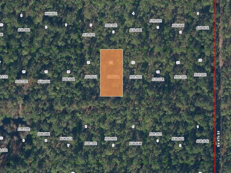 Hot Lot Alert $49 Down Grab it Now : Federal Point : Putnam County : Florida