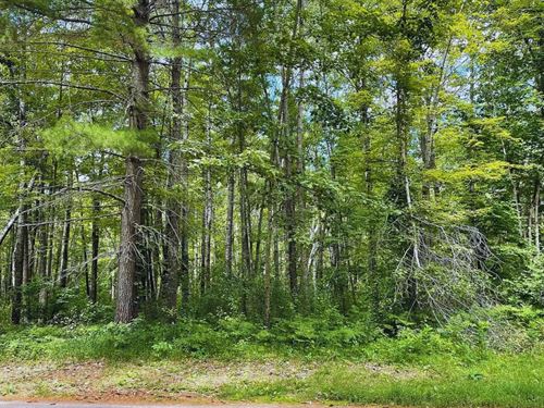 Future Sewer Planned $125-$250/Mo : Breezy Point : Crow Wing County : Minnesota