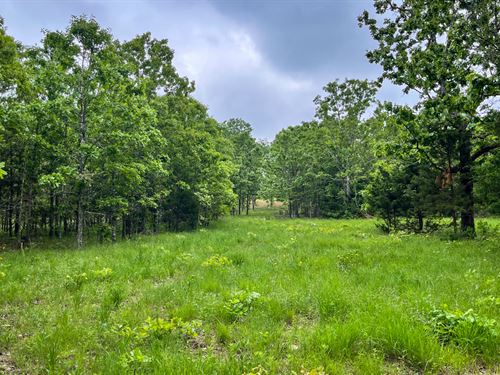 Great Views Of The Ozark Mountains : Willow Springs : Howell County : Missouri