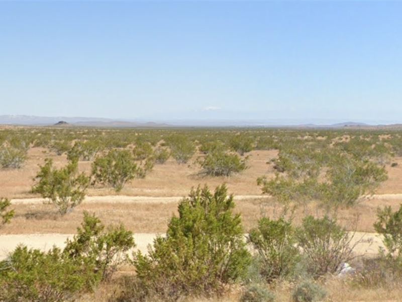 .25 Acres in California City, CA : California City : Kern County : California