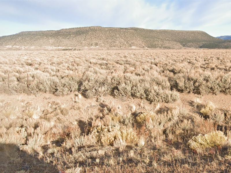 Away From Hustle & Bustle, $160/Mo : Blanca : Costilla County : Colorado