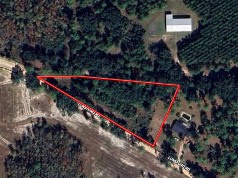 Large Residential Lot, Colquitt GA : Colquitt : Miller County : Georgia