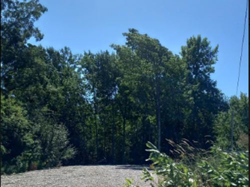 Live The Lake Life Only $375/Mo : Garrison : Mille Lacs County : Minnesota