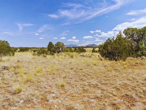 Amazing Views and Privacy $125/Mo : Williams : Coconino County : Arizona
