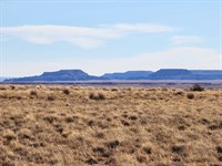 1.32 Acre Navajo Co Weekend Escape : Sun Valley : Navajo County : Arizona