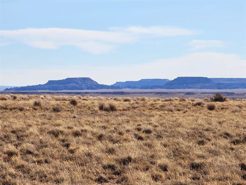 1.32 Acre Navajo Co Weekend Escape : Sun Valley : Navajo County : Arizona