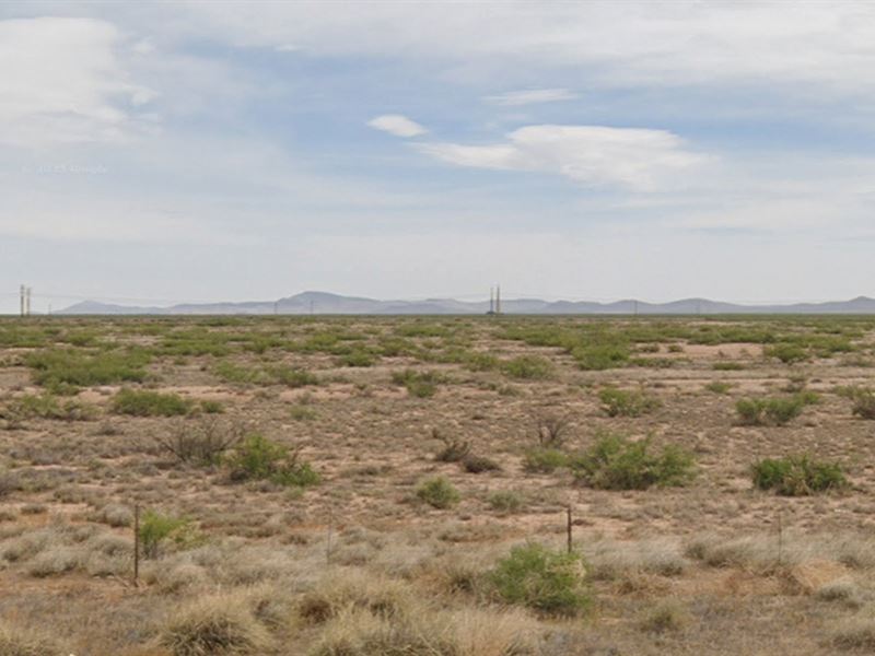 Two Amazing Half Acre Lots : Deming : Luna County : New Mexico