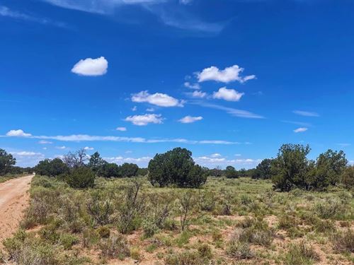 Secluded and Easy Access $125/Mo : Williams : Coconino County : Arizona