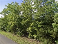 Back Porch Lake Views : Horseshoe Bend : Izard County : Arkansas