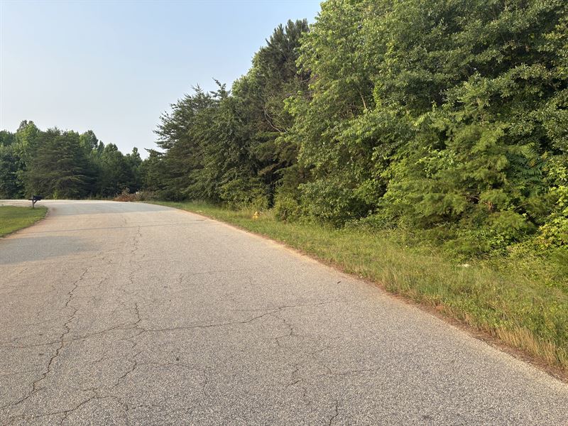 Greenville, SC Land Development : Greenville : Greenville County : South Carolina