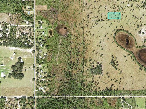 Hunting & Nature Lovers Lot : Lake Wales : Polk County : Florida
