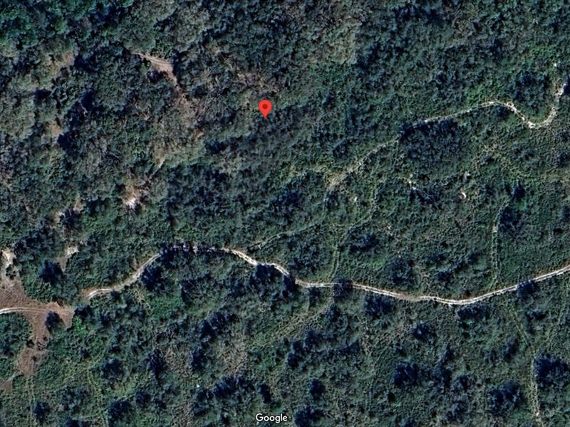 Thousands of Acres for Hunting : Frostproof : Polk County : Florida