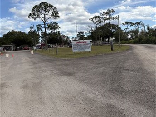 Natural Florida Still : Frostproof : Polk County : Florida