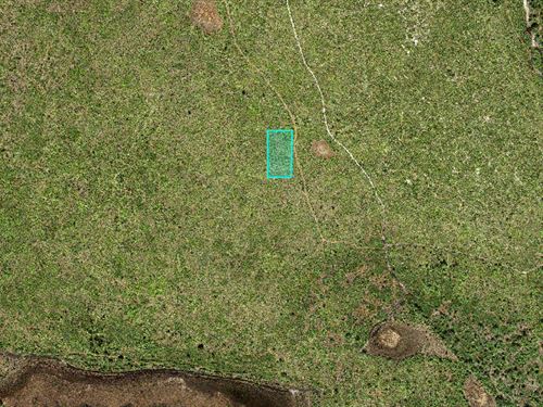 Year-Round Fun with This Lot : Frostproof : Polk County : Florida