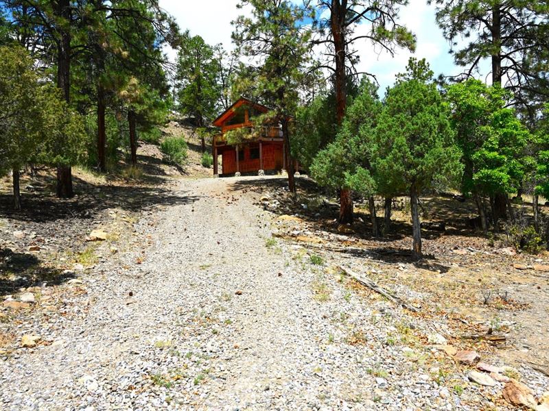 Laguna Vista Log Home : Los Ojos : Rio Arriba County : New Mexico