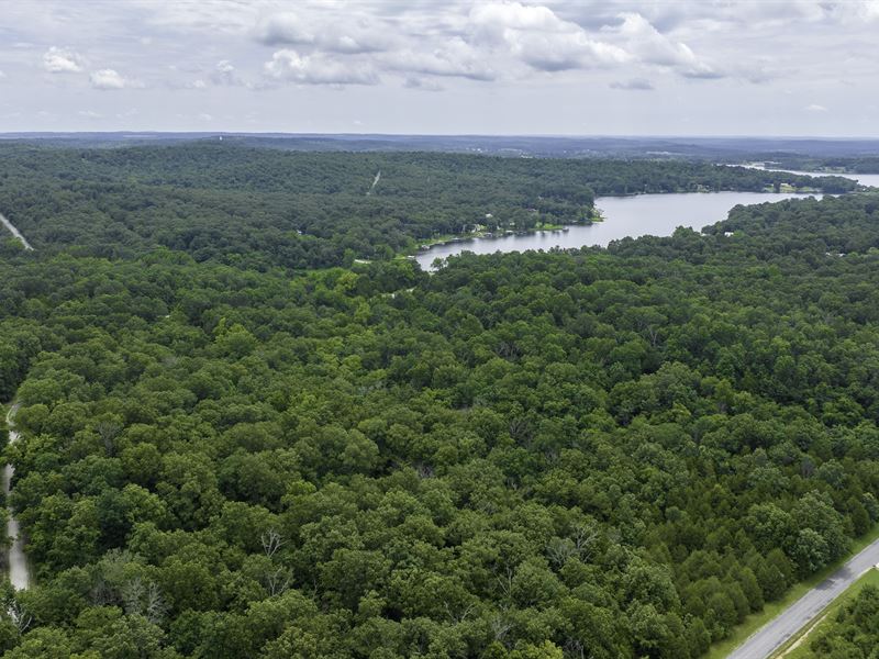 Fairy Tale Wooded Lane : Horseshoe Bend : Izard County : Arkansas