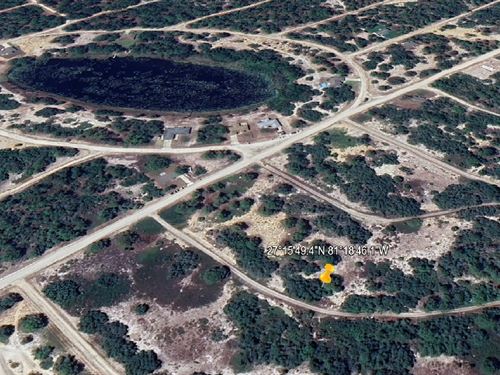 Summer Land Deal $49 Down Act Fast : Lake Placid : Highlands County : Florida