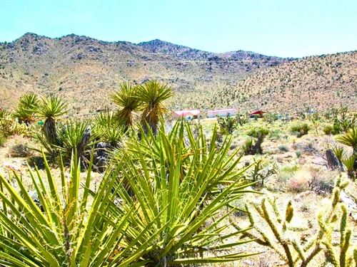 360 Views Near Public Lands $125/Mo : Dolan Springs : Mohave County : Arizona