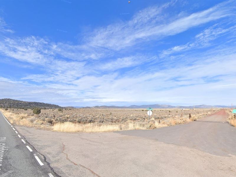 20 Acres in Northern California : Termo : Lassen County : California