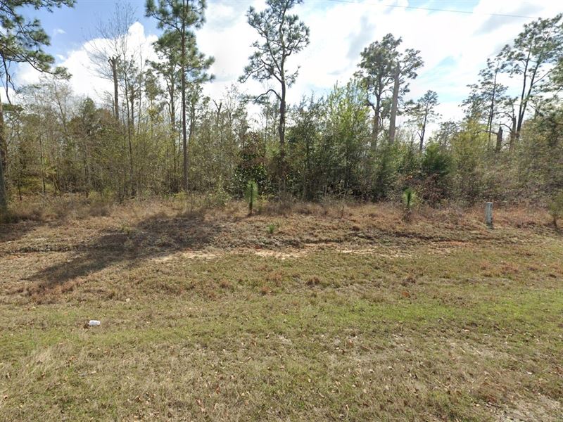 Donalsonville GA Lot, Road Access : Donalsonville : Seminole County : Georgia
