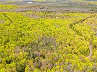 Heart Lake Acreage : Marenisco : Gogebic County : Michigan