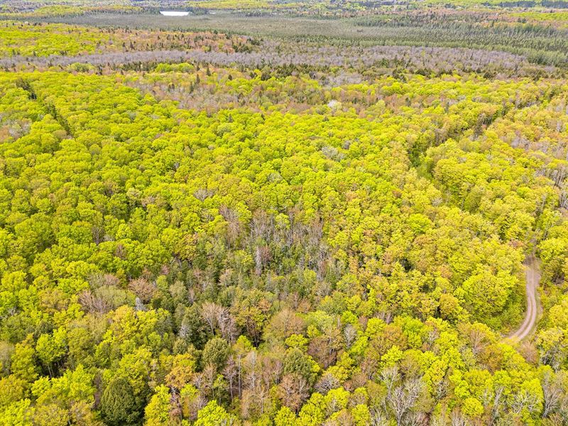 Heart Lake Acreage : Marenisco : Gogebic County : Michigan