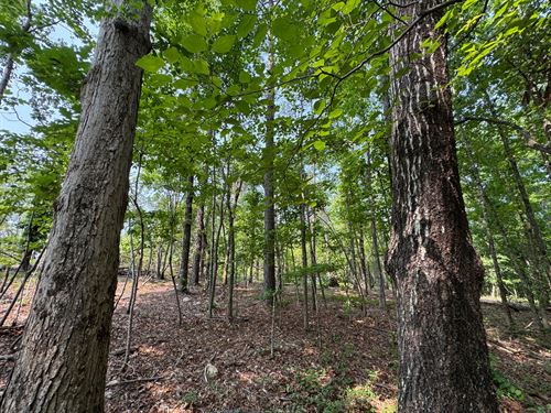 8 Acre Mini Farm in Jacksons GA : Jacksons Gap : Tallapoosa County : Alabama