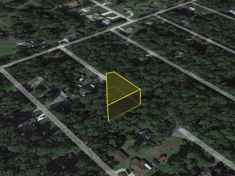 .33 Acres in Inverness Just $433/Mo : Inverness : Citrus County : Florida