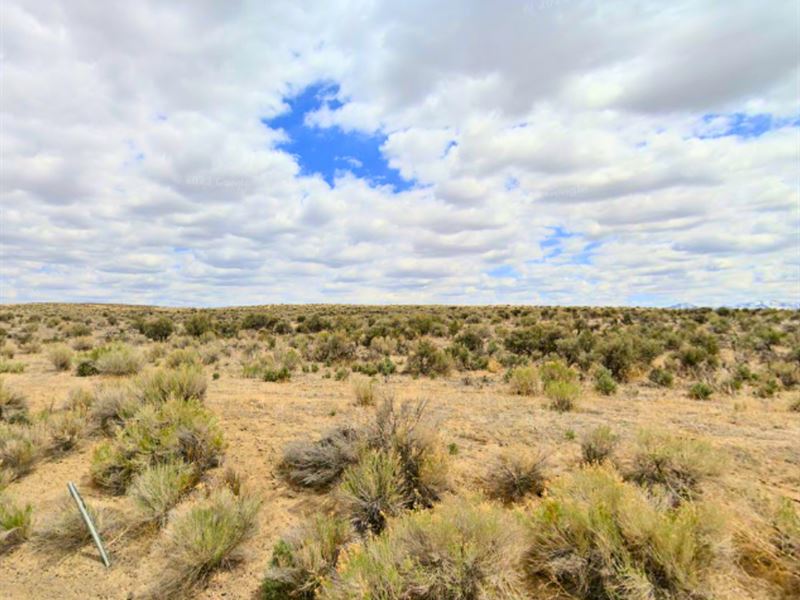 Grow Food, Feed Dreams, Live Free : Osino : Elko County : Nevada