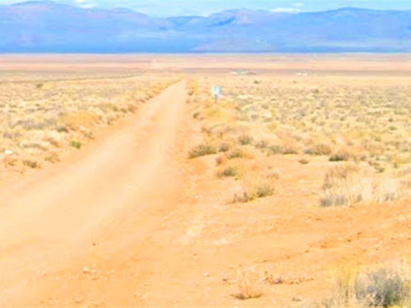 Own an Acre for Just $79 Down : Kingman : Mohave County : Arizona