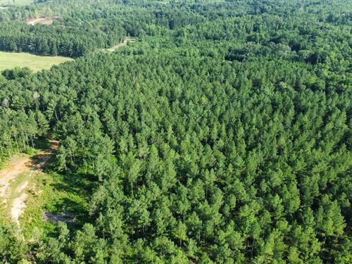 20 Acres Chambers County : Lanett : Chambers County : Alabama