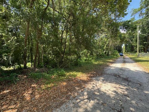 Rare Lot for Sale in Citra : Citra : Marion County : Florida