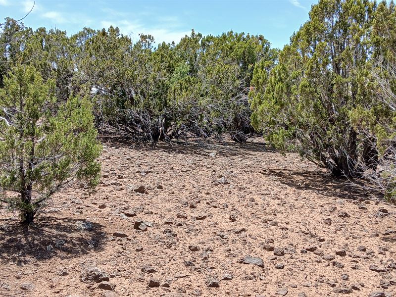Dual Access & Room To Expand : Concho : Apache County : Arizona