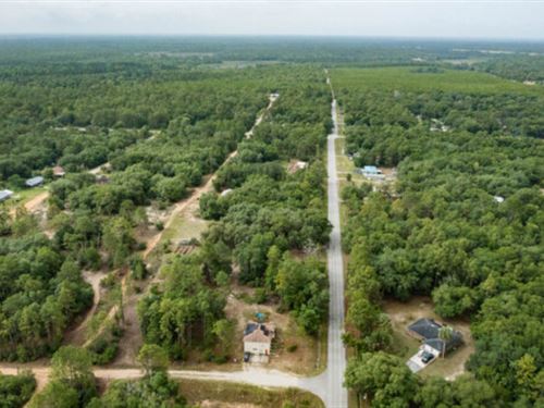 Weekend Warriors Unite : Satsuma : Putnam County : Florida