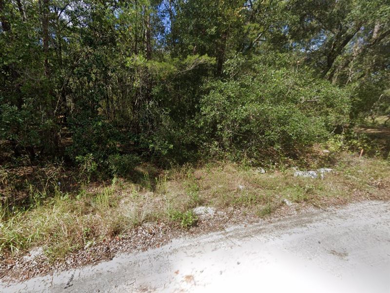 Residential Lot in Lake View Manor : Fort Mc Coy : Marion County : Florida
