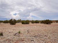 Own The View, Live The Quiet : Seligman : Yavapai County : Arizona