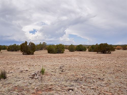 Own The View, Live The Quiet : Seligman : Yavapai County : Arizona