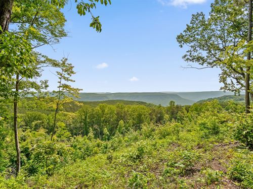 1.29 Acre Bluff Homesite : Guild : Marion County : Tennessee