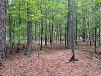 6.46 Acres, Tract 5 On Clatwor : Honea Path : Abbeville County : South Carolina