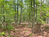 8.79 Acres, Tract 4 On Clatwor : Honea Path : Abbeville County : South Carolina