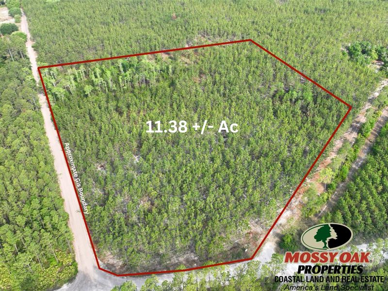 11.38 Ac Recreational Timberlan : Folkston : Charlton County : Georgia