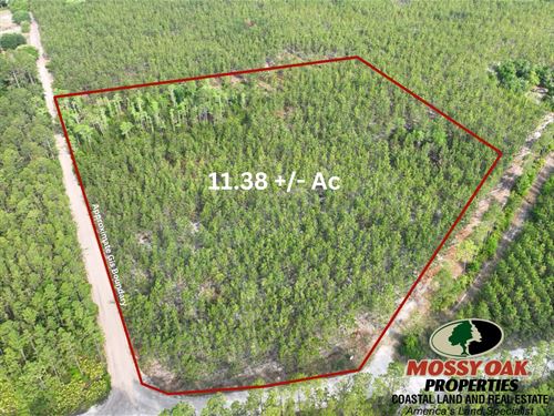 11.38 Ac Recreational Timberlan : Folkston : Charlton County : Georgia