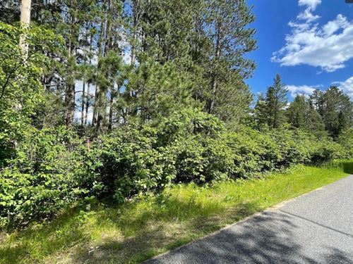 Land Youll Love $125-$250/Month : Breezy Point : Crow Wing County : Minnesota