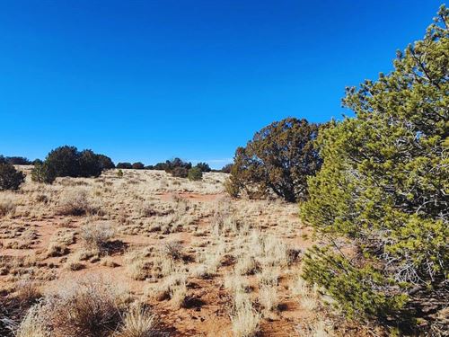 Wooded Wonderland Only $175-$350/Mo : Williams : Coconino County : Arizona