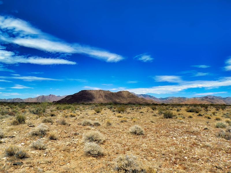 Your Strategic Desert Sanctuary : Yucca : Mohave County : Arizona