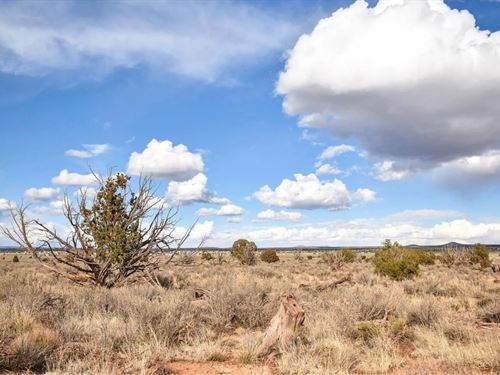 Dream Corner Lot at $175-$350/Mo : Williams : Coconino County : Arizona