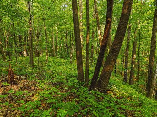 Nice Road & Power Nearby $275/Mo : Cushing : Morrison County : Minnesota