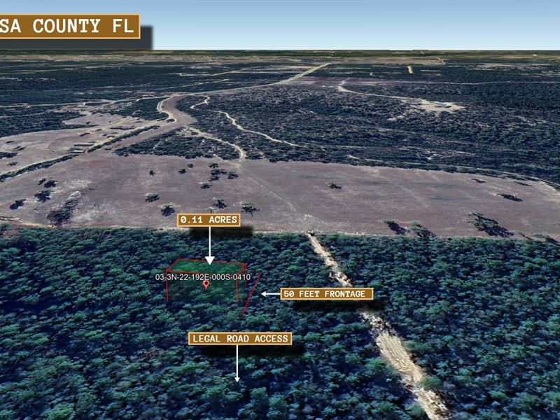 .11 Acre in Crestview, $200/Mo : Crestview : Okaloosa County : Florida