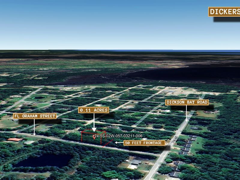 .11 Acre in Panacea, $200 a Month : Panacea : Wakulla County : Florida